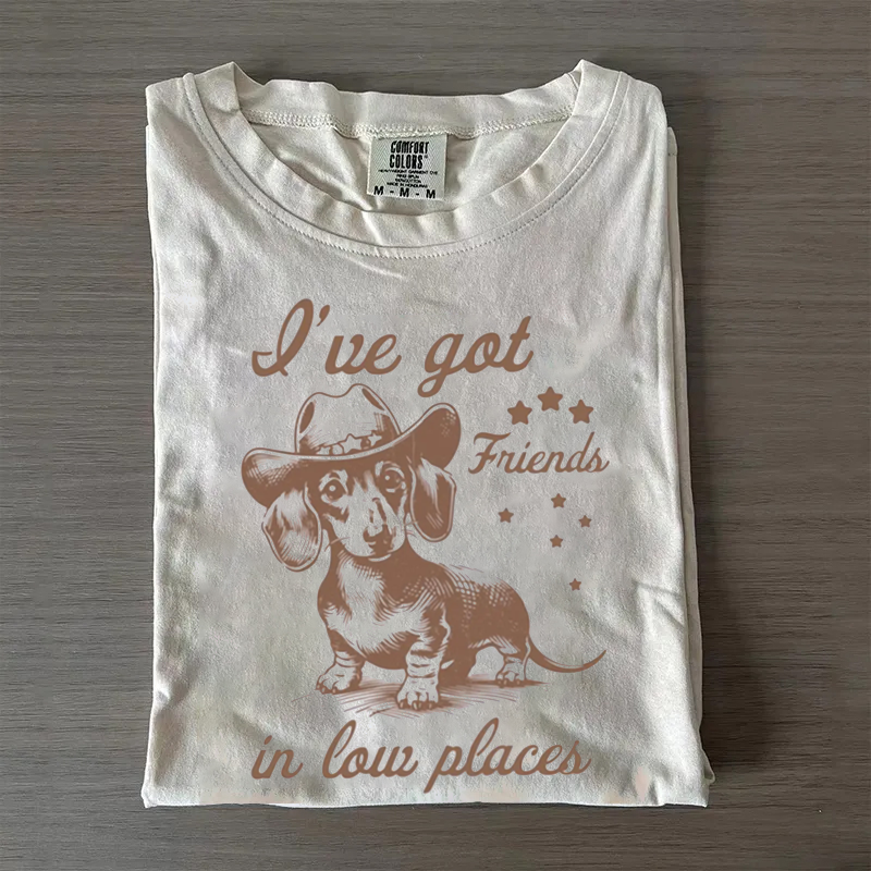 I've Got Friends In Low Places T-shirt
