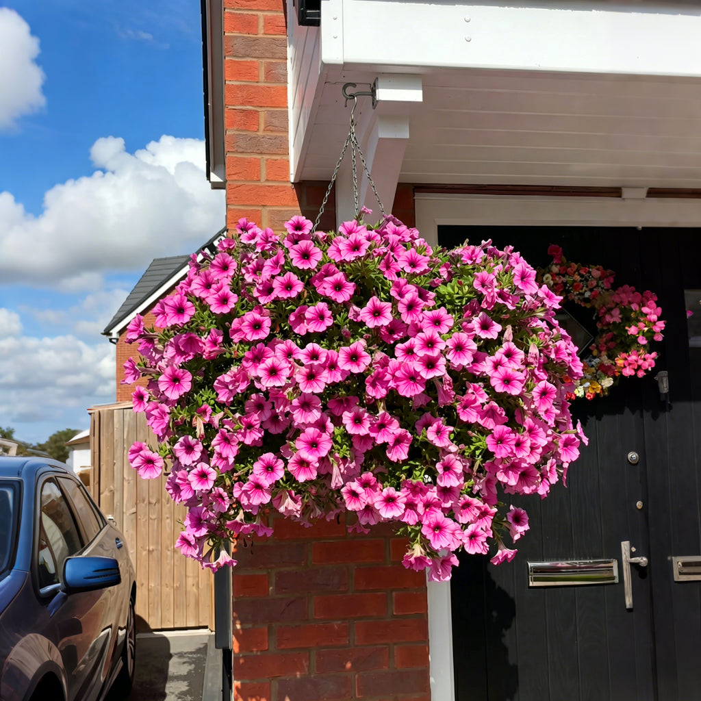 🔥Hot Sale 60% OFF🔥UV Resistant Artificial Petunias Flowers