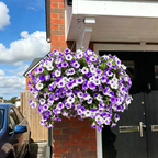 🔥Hot Sale 60% OFF🔥UV Resistant Artificial Petunias Flowers